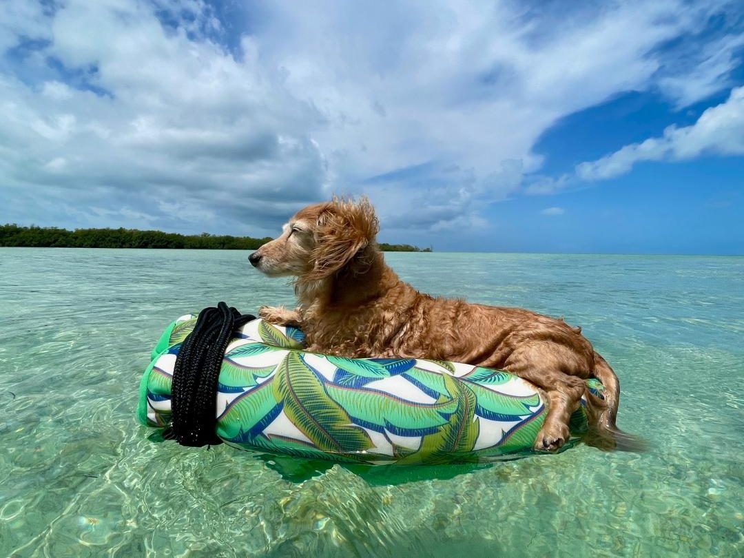 bailey sandbar trip
