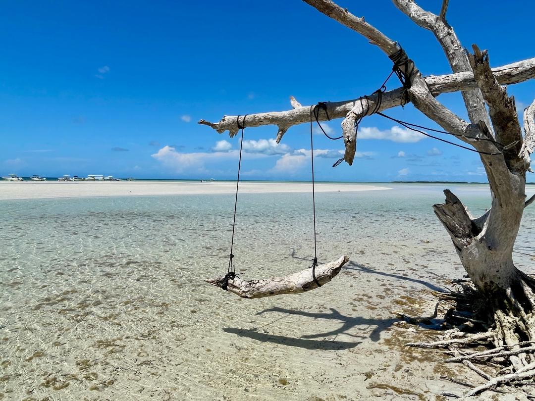key west's famous sandbar trip