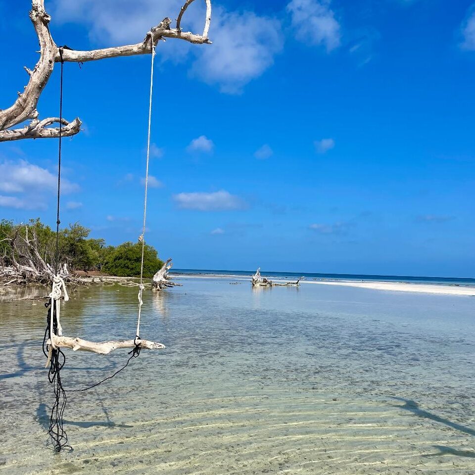Sandbars/Beaches