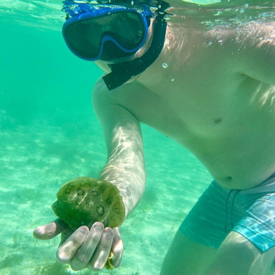 Snorkeling